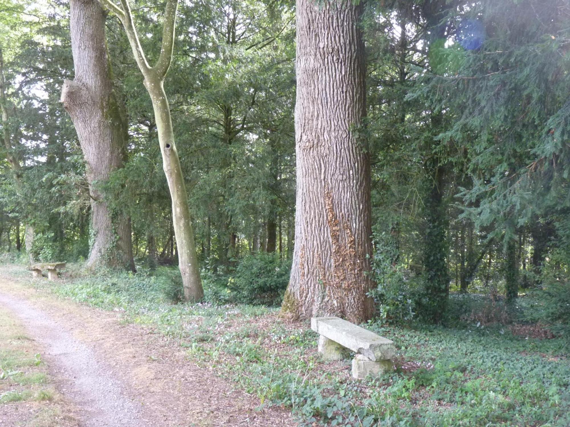 Chateau De Craon Comblessac Kültér fotó
