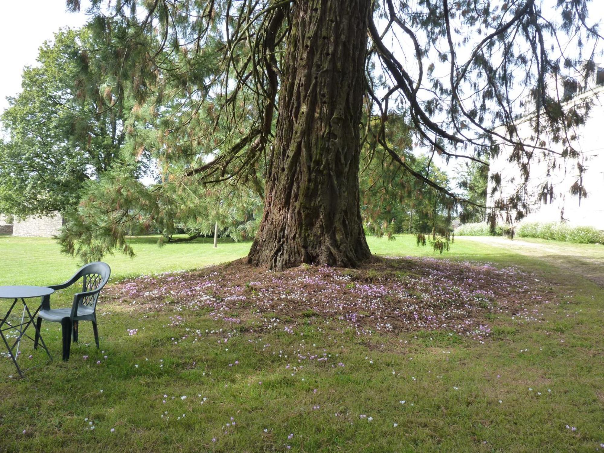 Chateau De Craon Comblessac Kültér fotó